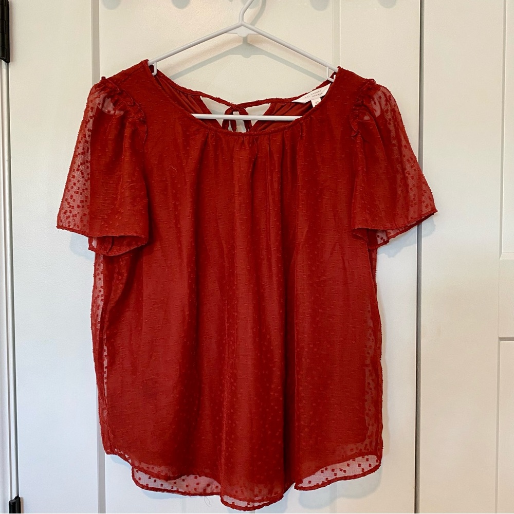 LC Lauren Conrad - Women’s Short Sleeve Blouse - Size XS